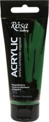Rosa Gallery Akril festék Green Medium (612) 60 ml 1 db (3241612)