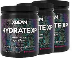 GymBeam - XBEAM HYDRATE XP - 3 x 112, 5 G