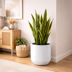 Prosperplast Kaspó műanyag HEOS 57 cm, fehér (DBHEW570-S449)