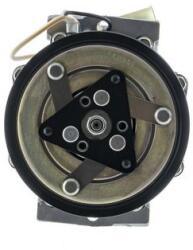 MAHLE Compresor, climatizare MAHLE ACP 546 000P (ACP 546 000P)
