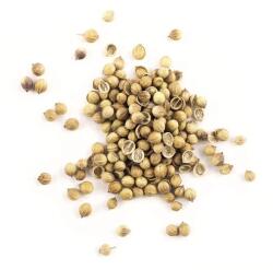  Koriander mag egész 500g