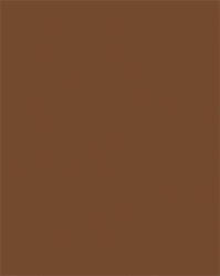 FOLIA Dekorkarton, 2 oldalas, 50x70cm, 220 g, 10 lap, FOLIA, csokoládé barna (FL61221085) - officepantry