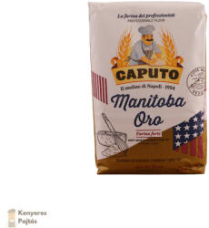 Caputo Il mulino di Napoli 1924 Caputo Manitopba Oro Tipo "0" - 1kg (531201)