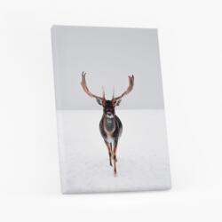 Empikfoto. ro Tablou, Crăciun: Renifer 1, 20x30 cm - 102975
