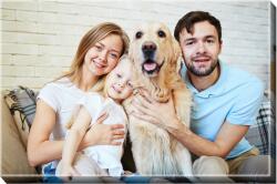 Empikfoto. ro Tablou, Proiectul Tău familial, 100x70 cm - 21912
