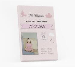 Empikfoto. ro Tablou, Certificat de naștere decorativ fetita, 70x100 cm - 126739