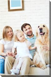 Empikfoto. ro Tablou, Proiectul Tău familial, 70x100 cm - 21914