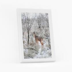 Empikfoto. ro Tablou, Crăciun: Renifer 4, 60x80 cm - 103105