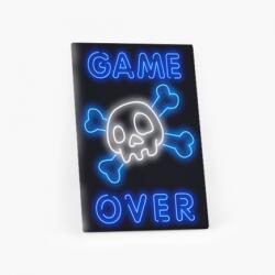 Empikfoto. ro Tablou, Gaming: Game Over II, 30x40 cm - 82009