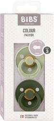 BIBS - Set 2 suzete Colour Latex, tetina rotunda, 18 luni +-Sage/Hunter Green (130212)