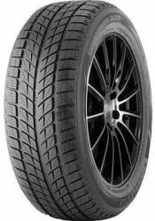 Double Star WINTERKING DW09 215/45R17 91T
