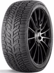 Double Star WINTERKING DW08 225/55R17 97T
