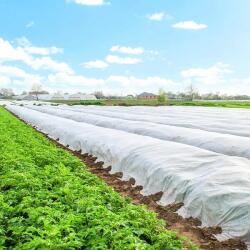  Fehér agrotextil takarófólia 70 g/m2 3, 2×50 m UV-védelemmel