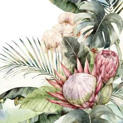 Ti-Flair Szalvéta 33 x 33 cm 3 Rétegű 20 Lap/Csomag Protea and Orchids (ECDX0514)
