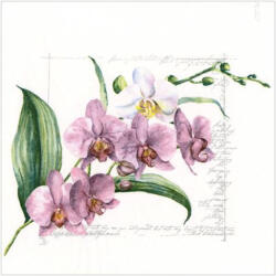  Ti-Flair Szalvéta 33 x 33 cm 3 Rétegű 20 Lap/Csomag Orchidée pink (AAE998)