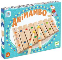 DJECO Instrument muzical Xilofon din lemn, Djeco (DJ06037) - infant