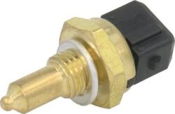 Delphi Unitate de control, Relee, Senzori Delphi TS10270 (DELPHITS10270)