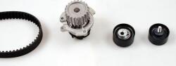 Hepu Set curea distributie Hepu PK06252 - compatibil Lada (HEPUPK06252)