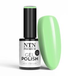 Allepaznokcie Oja Semipermanentă NTN Premium California Collection Nr. 138 5 g