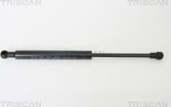 Triscan Amorizoare vibratii pe gaz Triscan 8710 11110 (TRISCAN871011110)