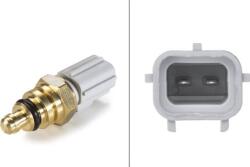 Hella Unitate de control, Relee, Senzori Hella 6PT 009 309-781 - compatibil Ford, Peugeot, Volvo, Land - HELLA-6PT 009 309 (HELLA6PT009309781)