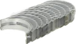 Mahle Arbore cotit, angrenare Arbore cotit Mahle 029 HS 21018 000 (MAHLE029HS21018000)
