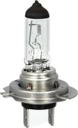 Magneti Marelli Iluminari auxiliare, Elemente Proiectoare, Elemente Magneti Marelli 002558100000 (MAGNETIMARELLI002558100000)