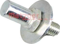 Metzger Lucuri, Bonnete, Uși, Acoperiș Usi, piese Metzger 2310102 - compatibil Fiat (METZGER2310102)