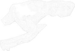 Ford Rezervor de apă, țevi Ford 1764300 (FORD1764300)