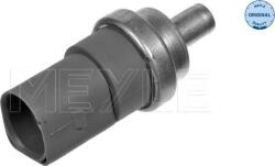 Meyle Unitate de control, Relee, Senzori Meyle 100 919 0017 (MEYLE1009190017)