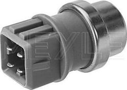 Meyle Unitate de control, Relee, Senzori Meyle 100 810 0007 (MEYLE1008100007)