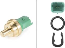Hella Unitate de control, Relee, Senzori Hella 6PT 009 309-391 - compatibil Peugeot, Mazda, Mitsubishi, Toyota - HELLA-6PT 009 309 (HELLA6PT009309391)