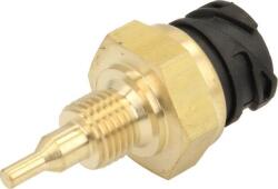 DT Spare Parts Unitate de control, Relee, Senzori DT Spare Parts 4.70145 (DTSPAREPARTS470145)