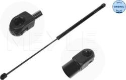 Meyle Amorizoare vibratii pe gaz Meyle 140 161 0062 - compatibil Audi, Vw - Meyle-140 161 0062 (MEYLE1401610062)