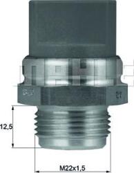 Mahle Comutator, senzor Mahle TSW 9D (MAHLETSW9D)