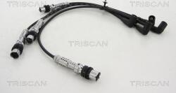 Triscan Cablu aprindere, piese racordare Triscan 8860 29030 - compatibil Vw, Seat - Triscan-8860 29030 (TRISCAN886029030)