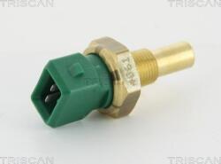 Triscan Unitate de control, Relee, Senzori Triscan 8626 16001 (TRISCAN862616001)