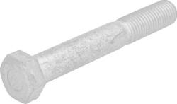 Iveco Arc foi Iveco 16635534 - compatibil Iveco (IVECO16635534)
