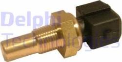 Delphi Unitate de control, Relee, Senzori Delphi TS10244-12B1 - compatibil Mazda, Ford (DELPHITS1024412B1)