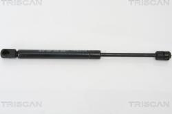 Triscan Amorizoare vibratii pe gaz Triscan 8710 28228 - compatibil Peugeot - Triscan-8710 28228 (TRISCAN871028228)