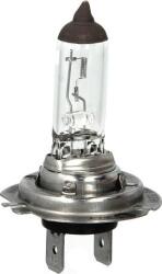 Magneti Marelli Iluminari auxiliare, Elemente Proiectoare, Elemente Magneti Marelli 002557100000 (MAGNETIMARELLI002557100000)