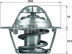 Mahle Sistem de racire motor Mahle TX 121 74D (MAHLETX12174D)
