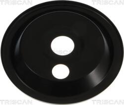 Triscan Frana disc Componente, Accesorii frana Triscan 8125 23122 - compatibil Smart - Triscan-8125 23122 (TRISCAN812523122)