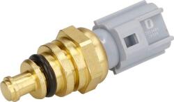 Delphi Unitate de control, Relee, Senzori Delphi TS10481 - compatibil 1802332 (DELPHITS10481)