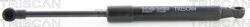 Triscan Amorizoare vibratii pe gaz Triscan 8710 25107 - compatibil Renault - Triscan-8710 25107 (TRISCAN871025107)