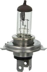Magneti Marelli Iluminari auxiliare, Elemente Proiectoare, Elemente Magneti Marelli 002156100000 (MAGNETIMARELLI002156100000)