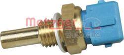 Metzger Unitate de control, Relee, Senzori Metzger 0905025 - compatibil Peugeot, Alfa, Rover, Bmw (METZGER0905025)