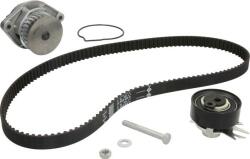 INA Set curea distributie INA 530 0166 31 (INA530016631)