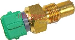 Metzger Unitate de control, Relee, Senzori Metzger 0915003 - compatibil Peugeot, Suzuki, Fiat, Citroën (METZGER0915003)