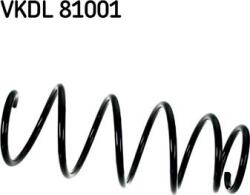 SKF Arc spirala SKF VKDL 81001 (SKFVKDL81001)